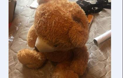GOE prende mulher com cocaína escondida em urso de pelúcia