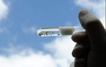 Só em março Três Lagoas notificou 200 novos casos suspeitos de dengue