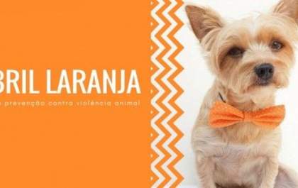 “Abril Laranja” marca Luta contra os maus tratos animais