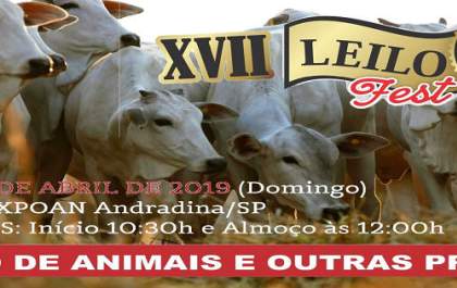 Leilo Fest da Apae acontece no domingo