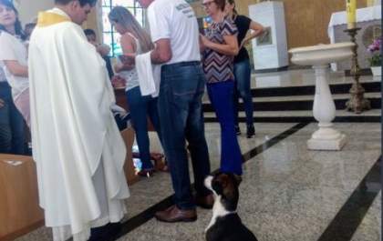 Cãozinho atento a sermão do padre faz sucesso na internet