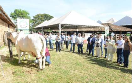Dia de Campo reúne criadores nacionais e internacionais em Araçatuba