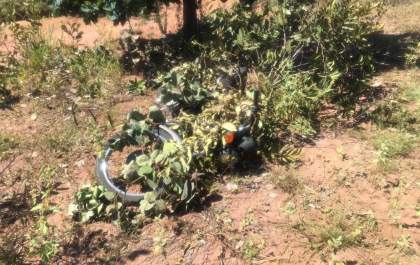 Força Tática localiza em menos de 12 horas moto furtada em frente a hospital