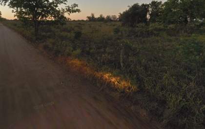 Motorista é sequestrado, amarrado em matagal e tem caminhão roubado