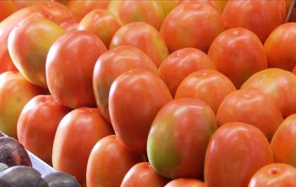 Blitz na feira de Andradina mostra variação do preço do tomate&nbsp;
