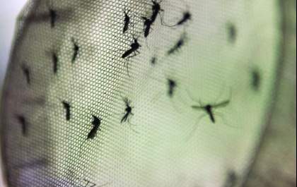 Região tem mais de 10 mil casos de dengue confirmados