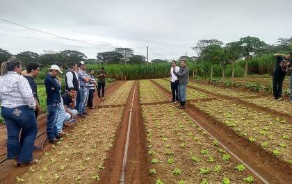 Desenvolvimento Agrário realiza “Manhã no Campo” com curso de Agronomia da FEA