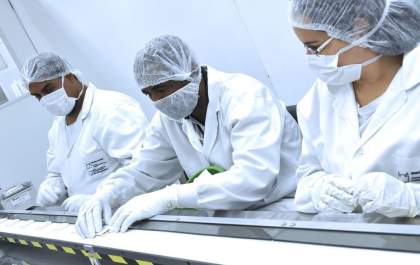 Bio Manguinhos desenvolve teste rápido para dengue, zika e chikungunya
