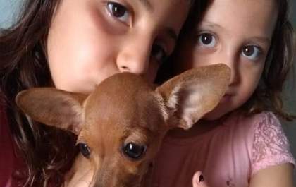 Vamos ajudar a encontrar o TOM