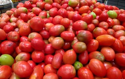 Com preços ainda altos em abril, tomate pode ficar mais barato em maio