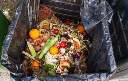 Desperdício alimentício no Brasil por ano chega a 37 milhões de toneladas