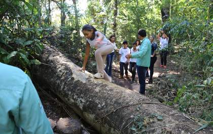 Alunos da rede municipal de ensino participam de trilha ecológica no Horto Educacional