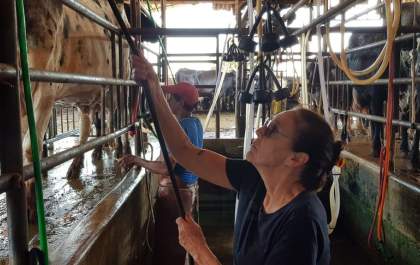 Fazenda Santa Lúcia é modelo intensivo para gado de corte e leite