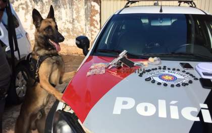 Com ajuda de cães, PM prende mulher e apreende drogas e pistola