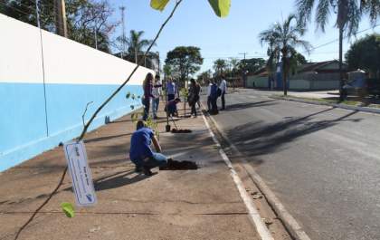 Águas Castilho realiza plantio de arvores no Dia Mundial do Meio Ambiente