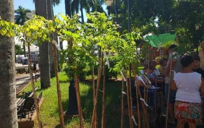 Encerramento da Semana do Meio Ambiente será com distribuição de mudas