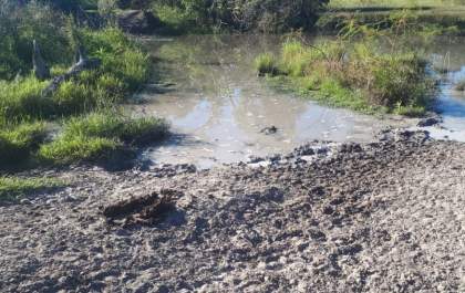 Fazendeira é multada em R$ 23 mil por crime ambiental em Três Lagoas