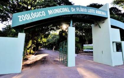 Bandidos quebram janela em zoológico e tentam furtar roçadeiras