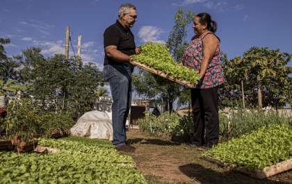 Prefeitura entrega mudas para Horta Comunitária do Villela