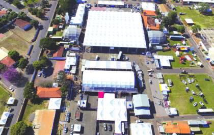Feira genética, leilões e julgamentos estão na programação rural da Expô