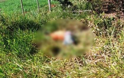 Polícia investiga assassinato do jovem Gustavo encontrado na MS-395