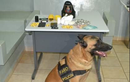 Cão encontra droga em painel de carro e pintor é preso
