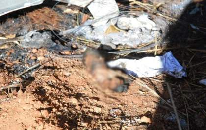 Família encontra mão em local de acidente com 4 mortos na MS-395