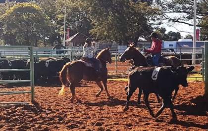 Provas equestres do Quarto de Milha têm cerca de 300 inscrições no 1º dia