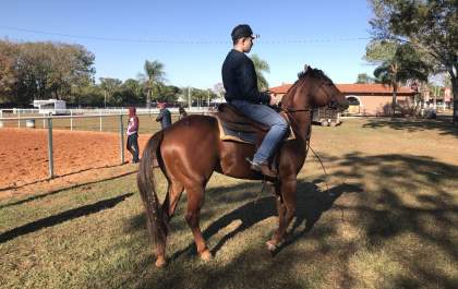 Clínica de rédeas é destaque na programação rural da Expô Araçatuba
