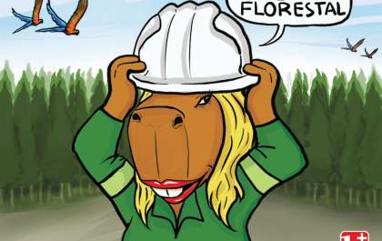 Hoje é o Dia do Engenheiro Florestal
