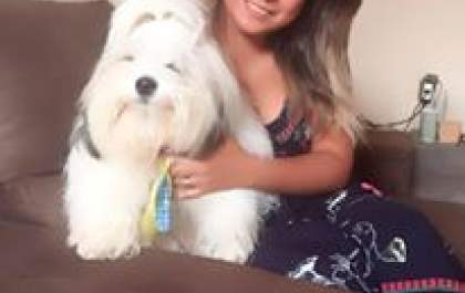 Moradora pede ajuda para localizar seu cãozinho Teddy&nbsp;