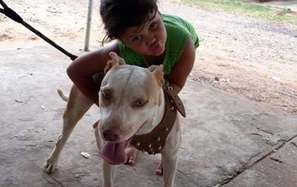 A cachorrinha kira sumiu: Vamos ajudá-la a voltar para casa!