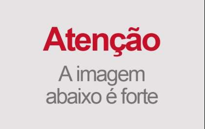 Mula morre após provocar acidente com dois veículos