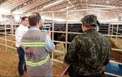 Defesa agropecuária e polícia fiscalizam condições de animais nas provas da ABQM