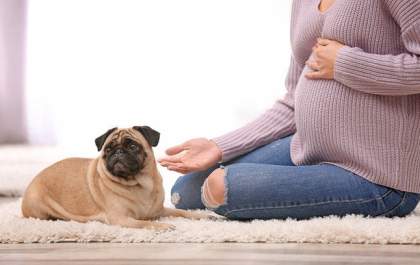 Mulher quer colocar o nome do&nbsp; cachorro da amiga na filha