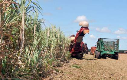 Demanda pelo etanol hidratado sustenta setor sucroenergético