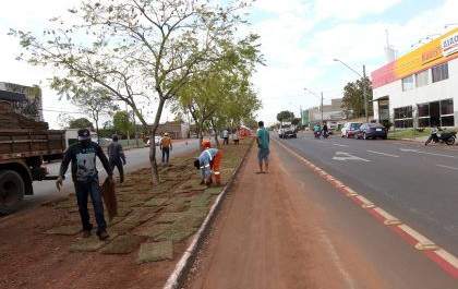 Canteiro central da Avenida Olyntho Mancini recebe revitalização
