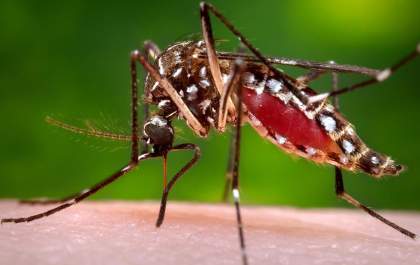 Diminui número de casos suspeitos de dengue em Três Lagoas