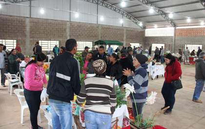 Feirão da Agricultura Familiar será realizado toda segunda em Andradina