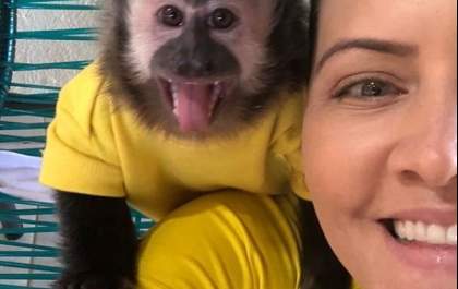 Alegria de macaquinha em tratamento contra o câncer comove internautas