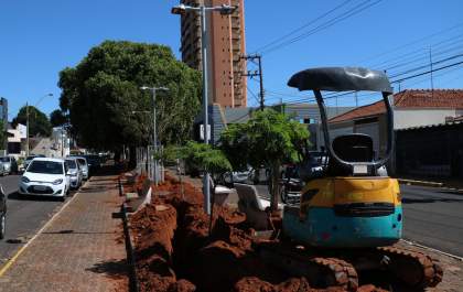 Prefeitura investe R$ 150 mil em iluminação na avenida São Francisco em Birigui