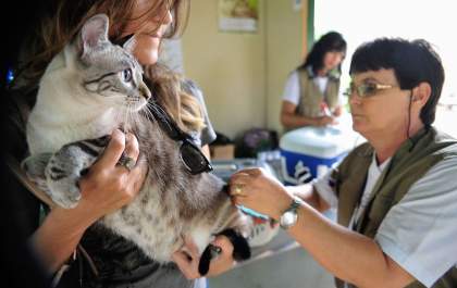 Araçatuba realiza campanha de vacinação contra a raiva