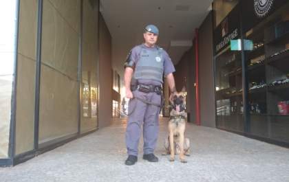 Cão ajuda a PM encontrar drogas e prender pintor