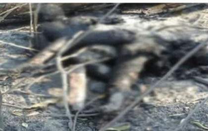 Casal morre abraçado ao tentar fugir de queimada