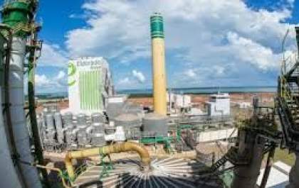 Irmãos Batista podem perder controle da Eldorado Celulose