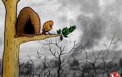 Fogo, fumaça e lagrimas