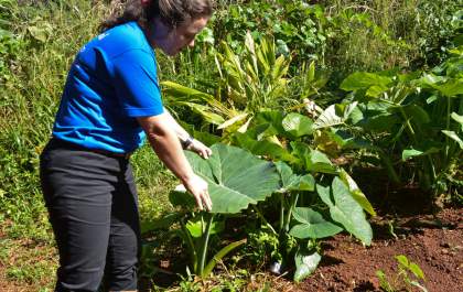 Fórum de Agroecologia está com inscrições abertas em Birigui