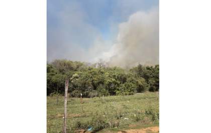 Projeto ambiental emperra e mata do Country corre risco de desaparecer