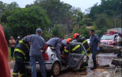 Dois homens ficam feridos em queda de árvore sobre carro