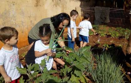 Birigui usa áreas improdutivas em escolas para criar hortas